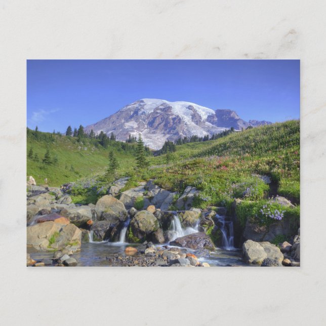 USA, Washington, Rainier NP, Rainier und 2 Postkarte (Vorderseite)