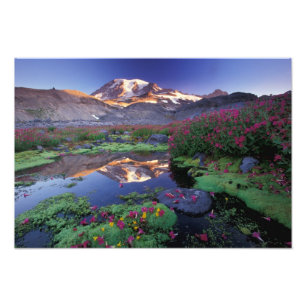 USA, Washington, Rainier NP, Sonnenaufgang, Fotodruck