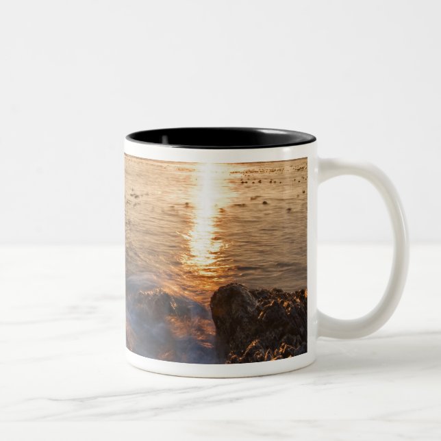 USA, Washington, San Juan Islands.  Dramatisch Zweifarbige Tasse (Rechts)