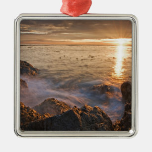 USA, Washington, San Juan Islands. Ein dramatisch Silbernes Ornament