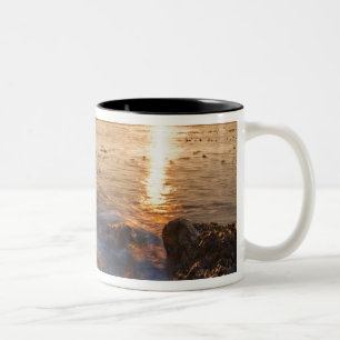 USA, Washington, San Juan Islands.  Ein dramatisch Zweifarbige Tasse