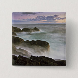 USA, Washington, San Juan Islands. Sturz Button
