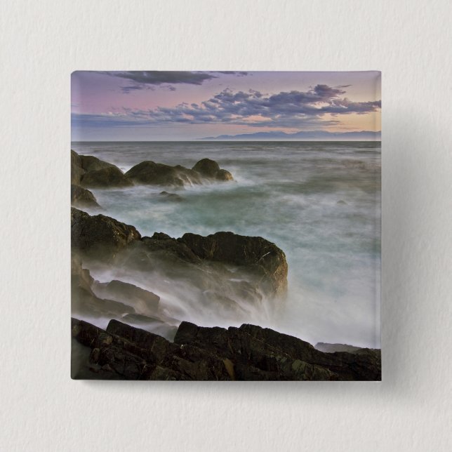 USA, Washington, San Juan Islands.  Sturz Button (Vorderseite)