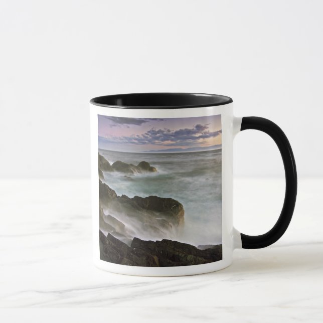 USA, Washington, San Juan Islands.  Sturz Tasse (Rechts)