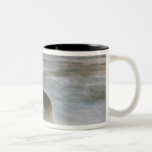 USA, Washington, San Juan Islands.  Sturz Zweifarbige Tasse