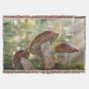 USA, Washington, Seabeck. Leccinum Insigne Decke