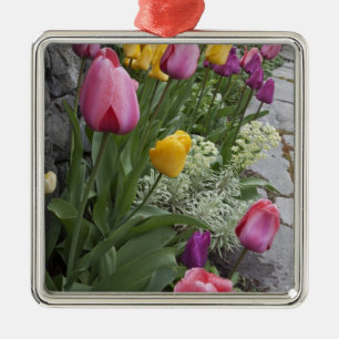 USA, Washington, Seabeck. Tulpen säumen den Garten Ornament Aus Metall