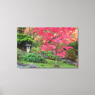 USA, Washington, Seattle, Arboretum, Japanisch Leinwanddruck