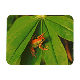 USA, Washington, Seattle, Discovery Park 2 Magnet