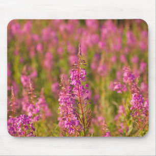 USA, Washington, Seattle, Discovery Park 3 Mousepad