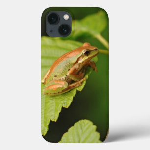 USA, Washington, Seattle, Discovery Park Case-Mate iPhone Hülle