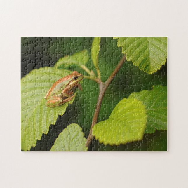 USA, Washington, Seattle, Discovery Park Puzzle (Horizontal)