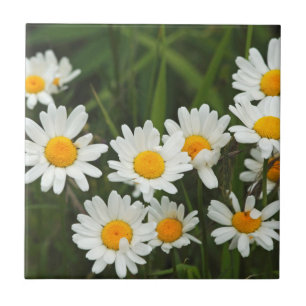 USA, Washington, Seattle, Puget Sound 3 Fliese