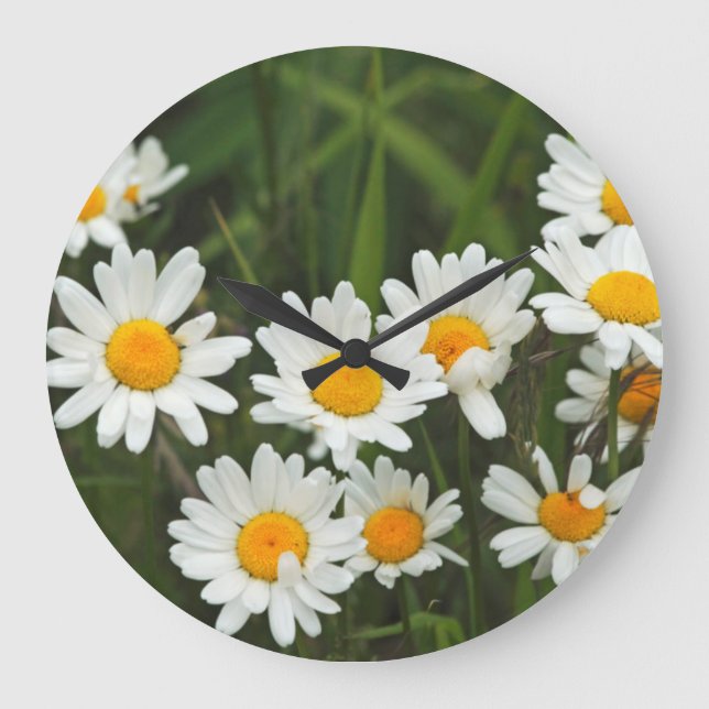 USA, Washington, Seattle, Puget Sound 3 Große Wanduhr (Vorderseite)