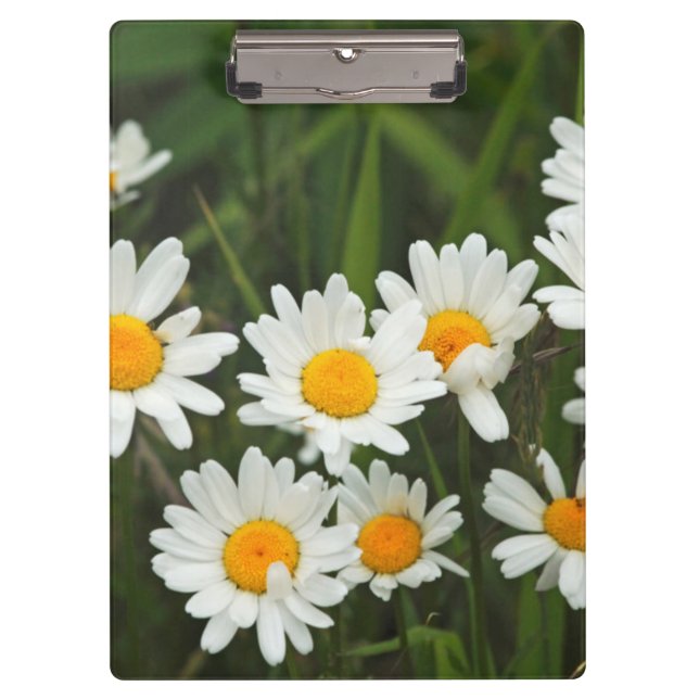 USA, Washington, Seattle, Puget Sound 3 Klemmbrett (Vorderseite)