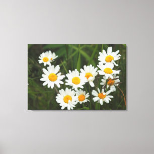 USA, Washington, Seattle, Puget Sound 3 Leinwanddruck