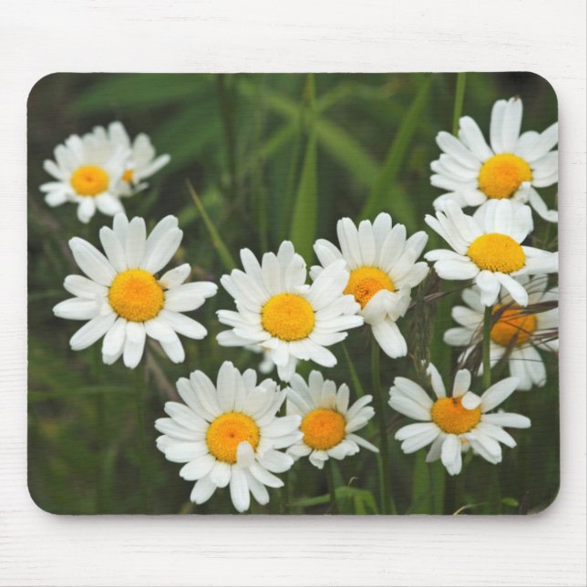 USA, Washington, Seattle, Puget Sound 3 Mousepad (Vorne)