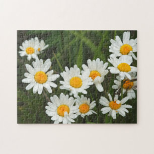 USA, Washington, Seattle, Puget Sound 3 Puzzle