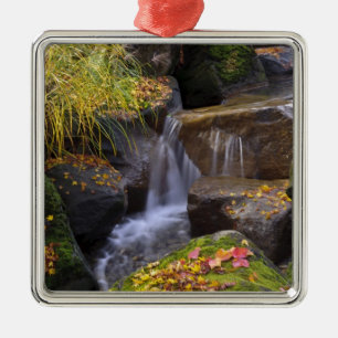 USA, Washington, Seattle Silbernes Ornament