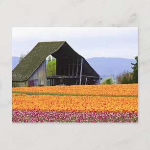 USA, Washington, Skagit Valley. 2 Postkarte