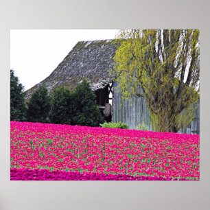 USA, Washington, Skagit Valley. Poster
