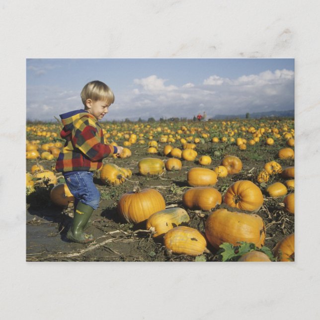 USA, Washington, Snohomish Kleiner Postkarte (Vorderseite)