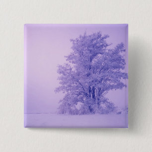 USA, Washington, Spokane County, Frosted Button