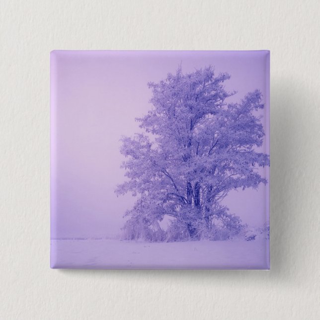 USA, Washington, Spokane County, Frosted Button (Vorderseite)