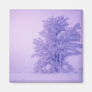 USA, Washington, Spokane County, Frosted Magnet