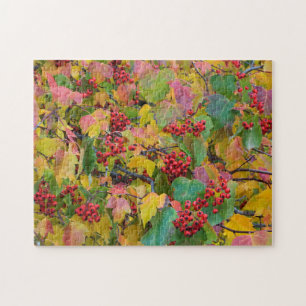 USA, Washington, Spokane County, Hawthorn Blätter Puzzle