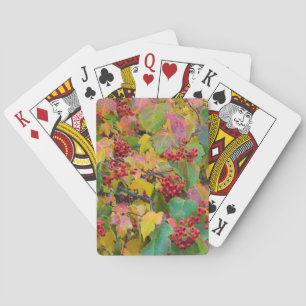 USA, Washington, Spokane County, Hawthorn Leaves 2 Spielkarten