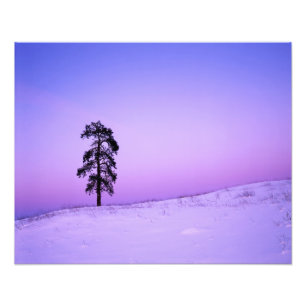 USA, Washington, Spokane County, Riverside Fotodruck
