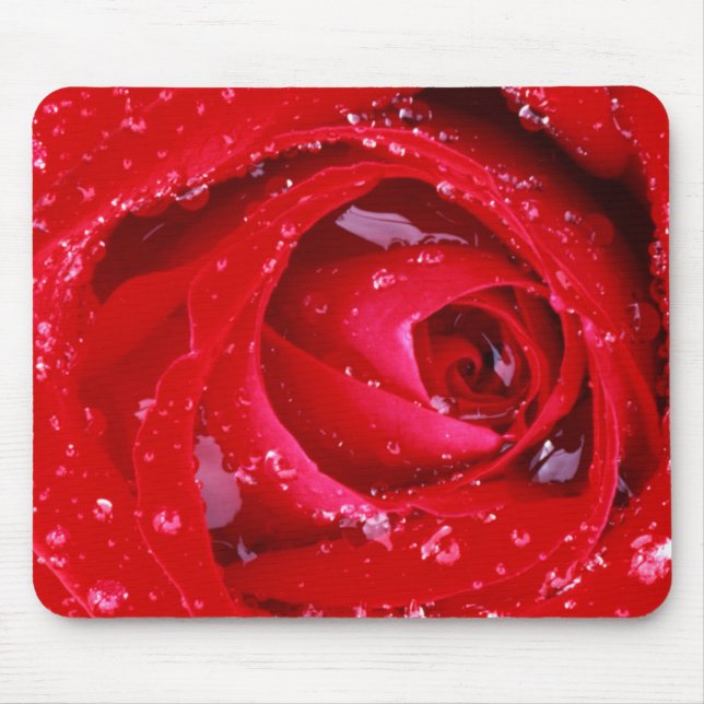 USA, Washington, Spokane Landkreis, Manito Park Mousepad (Vorne)