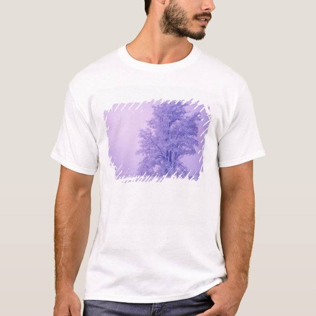 USA, Washington, Spokane Landkreis, Mattiert T-Shirt (Vorderseite)