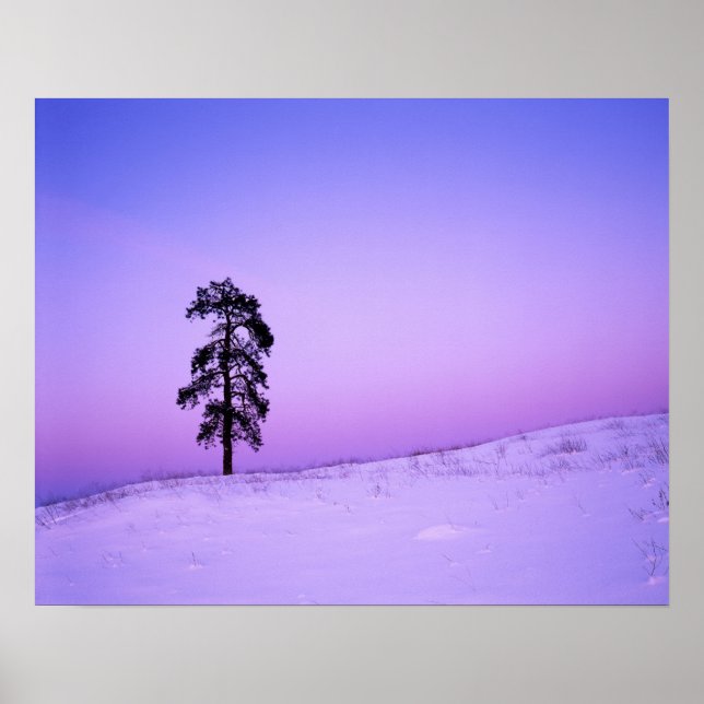 USA, Washington, Spokane, Landkreis Riverside Poster (Vorne)