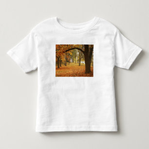 USA, Washington, Spokane, Manito Park, Herbst 2 Kleinkind T-shirt