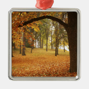 USA, Washington, Spokane, Manito Park, Herbst 2 Ornament Aus Metall