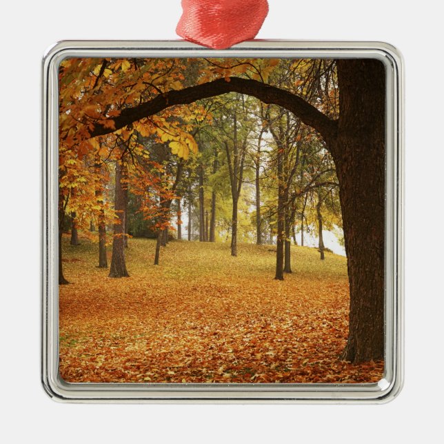 USA, Washington, Spokane, Manito Park, Herbst 2 Ornament Aus Metall (Vorne)