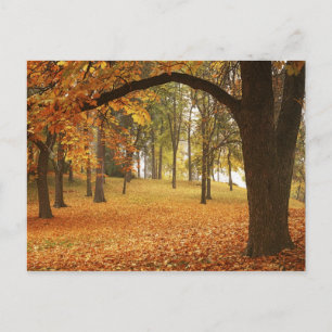 USA, Washington, Spokane, Manito Park, Herbst 2 Postkarte
