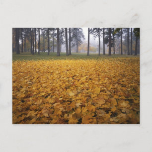 USA, Washington, Spokane, Manito Park, Herbst Postkarte