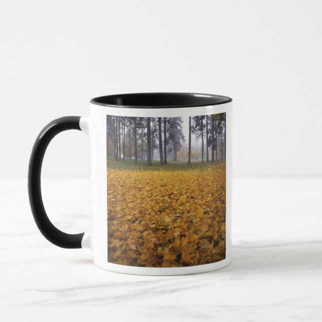 USA, Washington, Spokane, Manito Park, Herbst Tasse (Links)