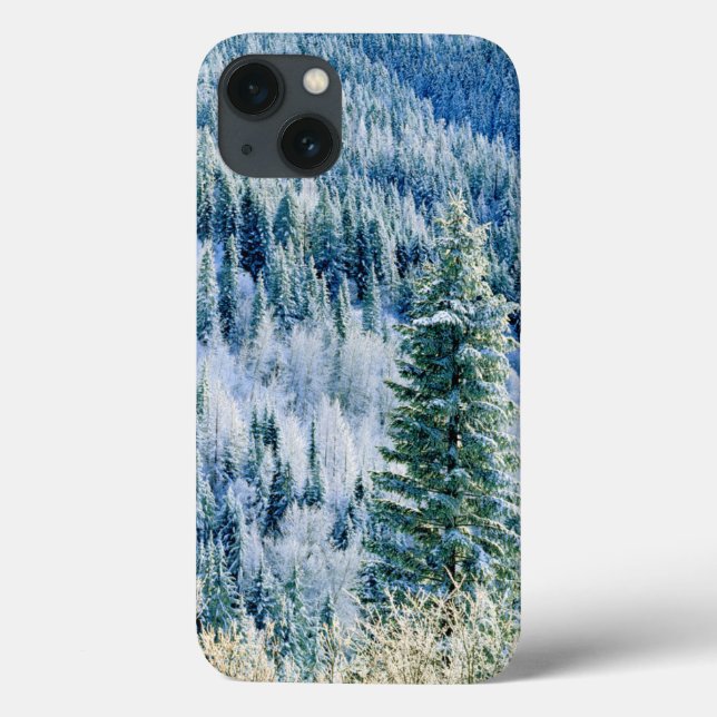 USA, Washington, Spokane Staat Park, Aspen Case-Mate iPhone Hülle (Rückseite)