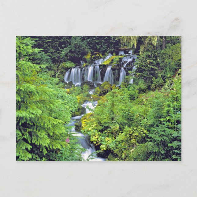 USA, Washington Staat, Adams Wilderness. Twin Postkarte (Vorderseite)