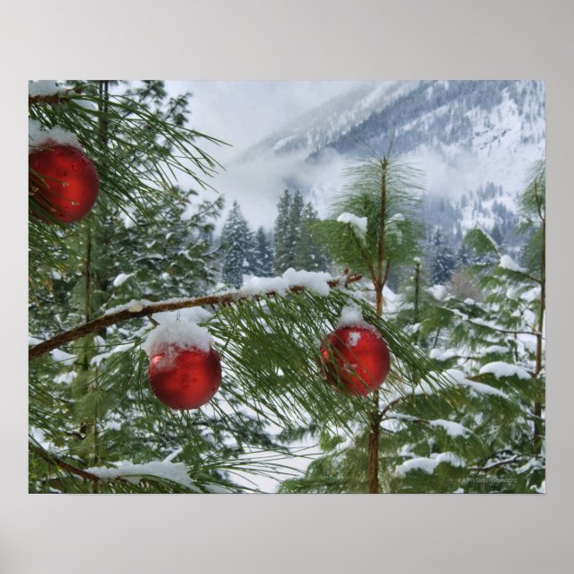 USA, Washington Staat, Chelan Landkreis Poster (Vorne)