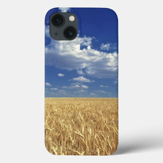 USA, Washington Staat, Colfax. Reizweizen Case-Mate iPhone Hülle (Rückseite)