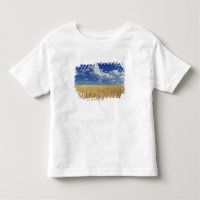 USA, Washington Staat, Colfax. Reizweizen