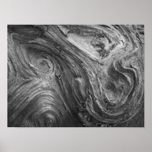 USA, Washington Staat. Douglas-Tanne Poster