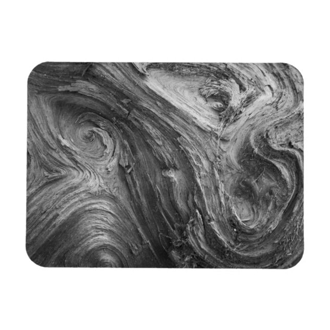 USA, Washington Staat. Douglass Fir Magnet (Horizontal)