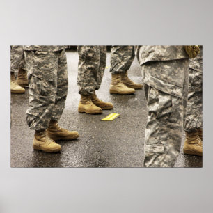 USA, Washington-Staat, Issaquah, Lachstag Poster