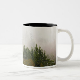 USA, Washington-Staat, Kitsap County, Seabeck, 2 Zweifarbige Tasse